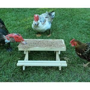 ChickNic Table Chicken Feeder Picknic Table Wooden Ready To Paint